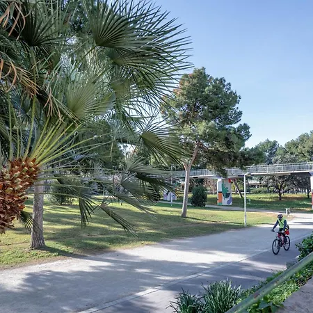 Limehome Carrer De Sant Jacint Апартаменты Валенсия